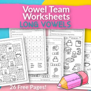 Vowel Team Flashcards - Free Word Work