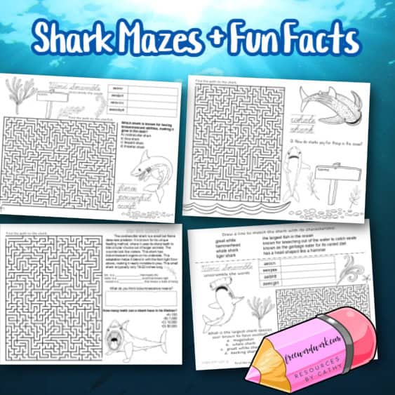 These shark mazes and fun facts are a fun addition to your morning welcome routine for all students who love sharks.